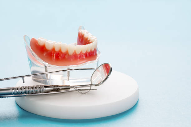 Professional Dental Services in Kimball, TN